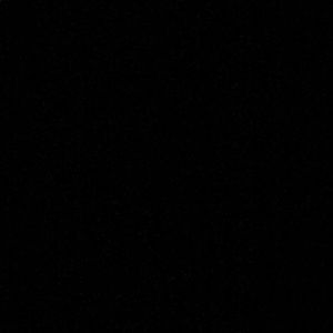 Meet your Posher, Will